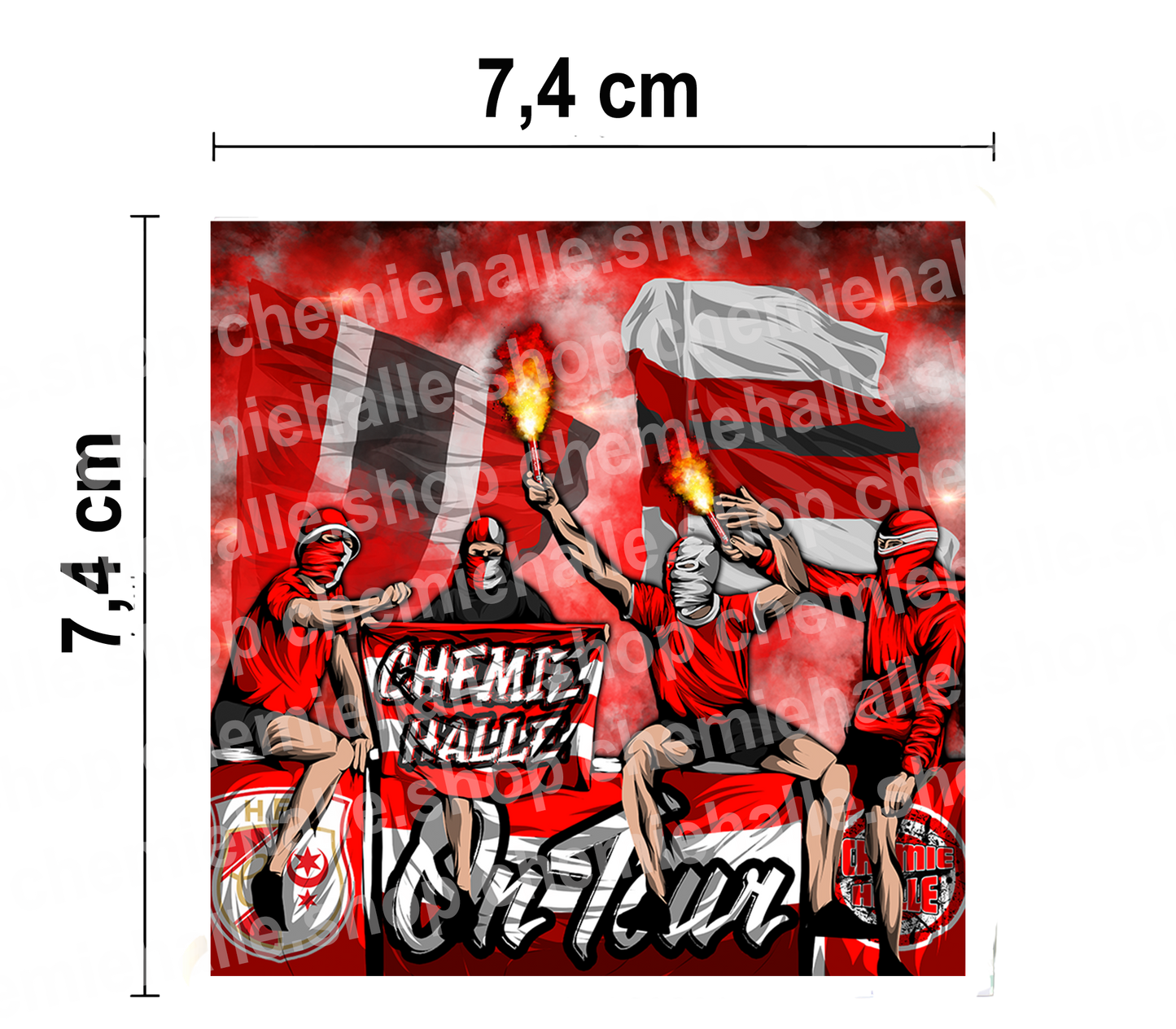 50 Aufkleber Chemie Halle on tour